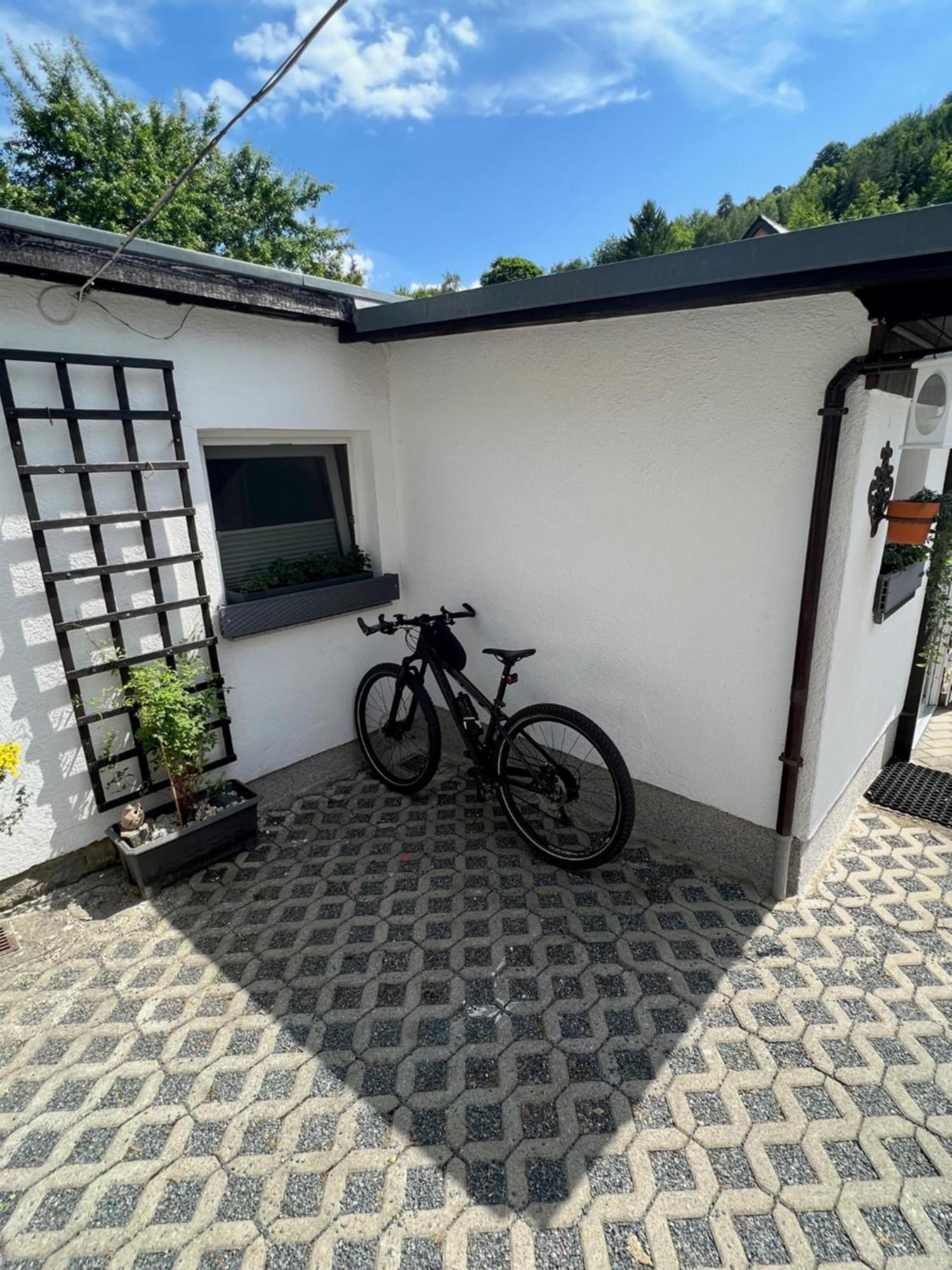 -in Lapide Regis- Apartment